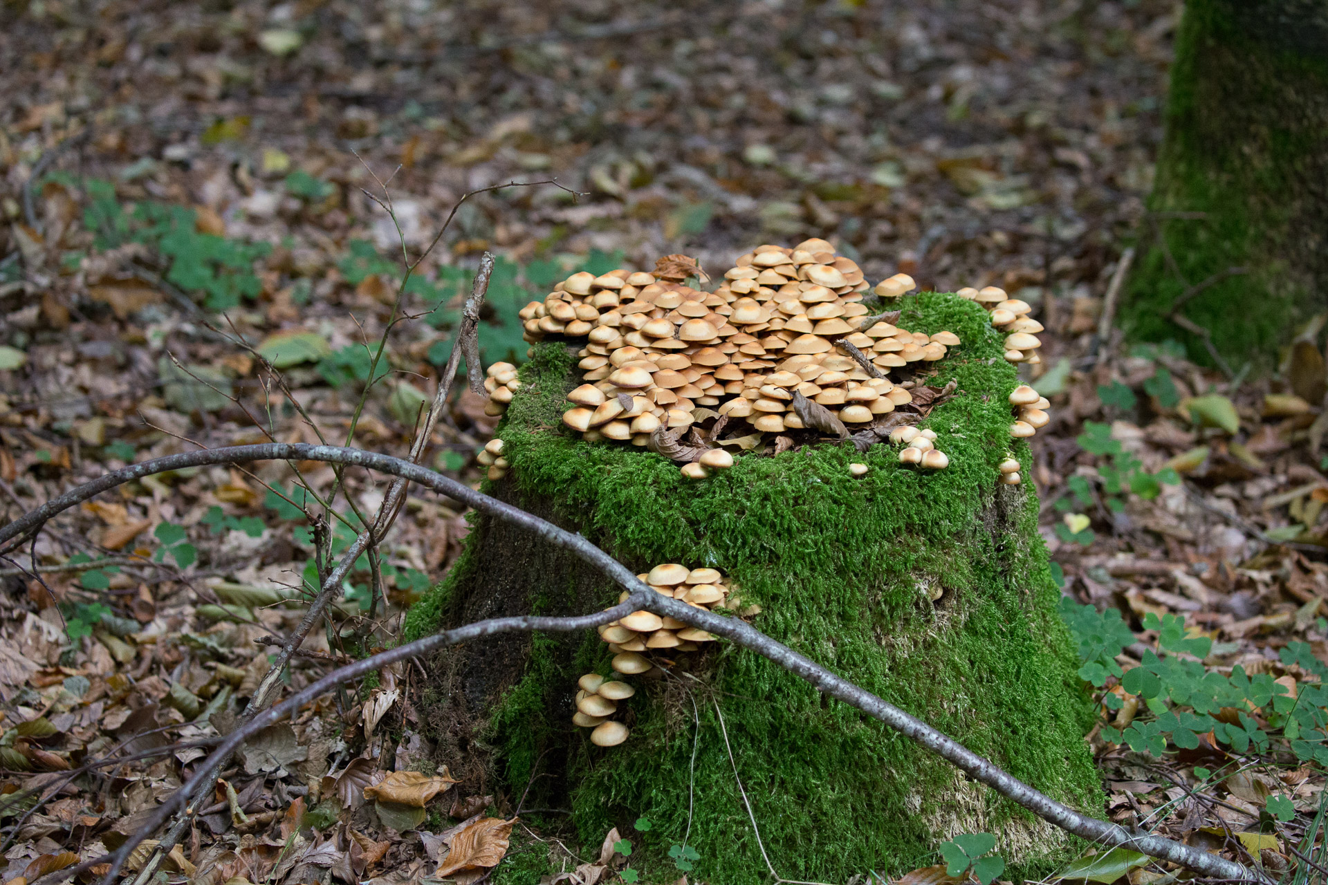 20231014100723 3K6A2140